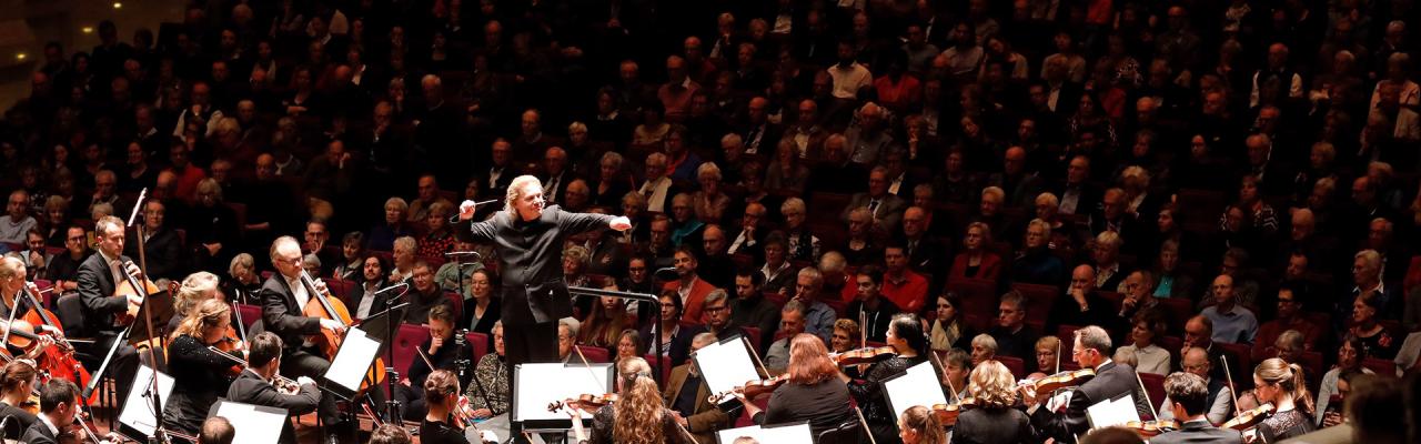 Festival Zeeuwsch-Vlaanderen - Sinfonia Rotterdam