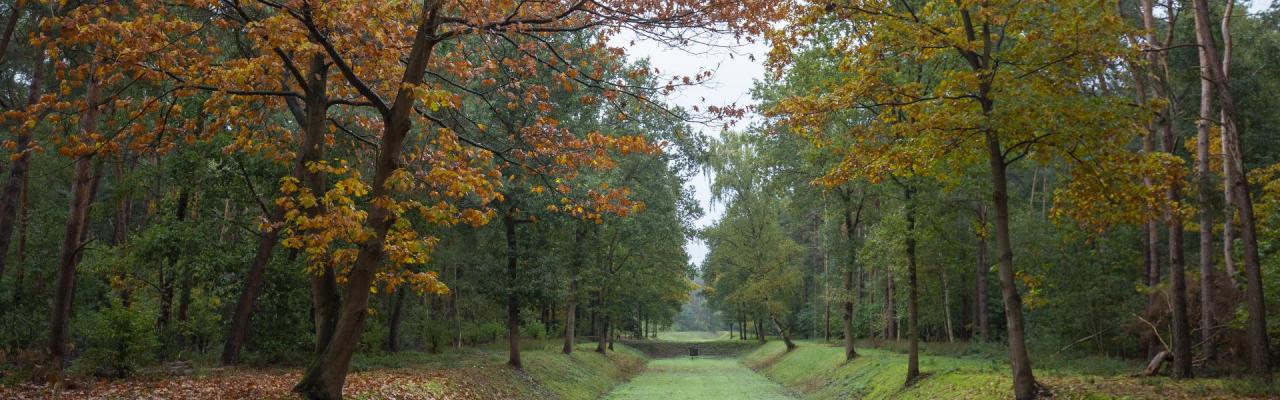 Herfstwandeling Waterwinbossen