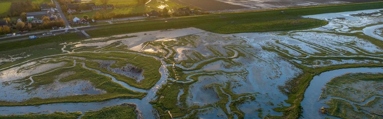 NLdoet | Vrijwilligersactie in Het Verdronken Land van Saeftinghe