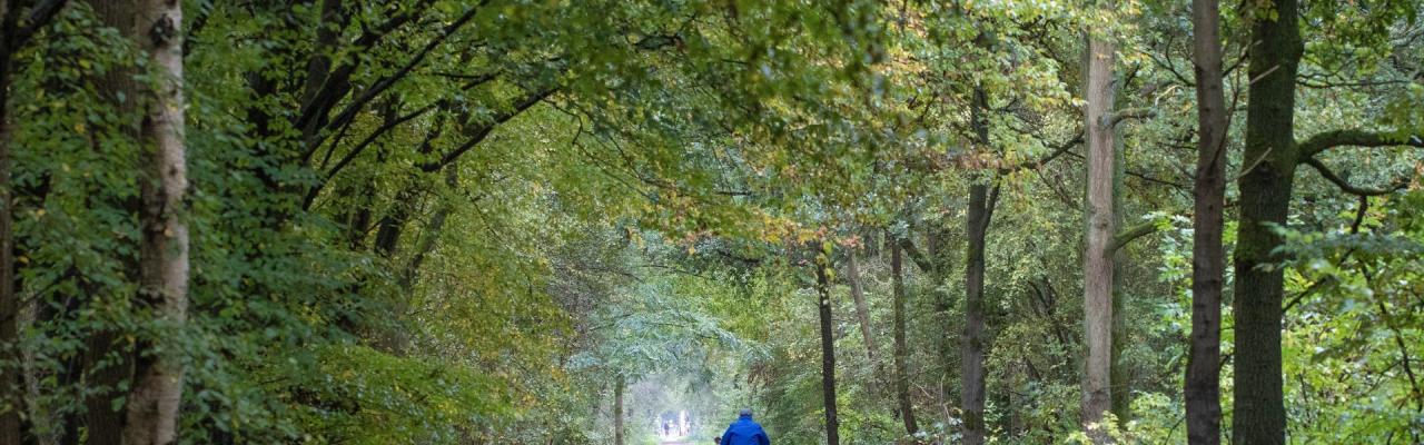 Fietsexcursie Waterwinbossen