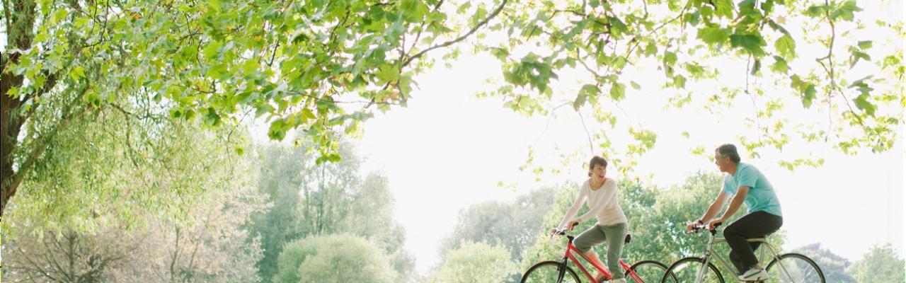 De fietstocht vanaf het tuinhuis