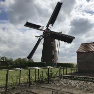 fotoalbum/img-6020-kuitaart-molen