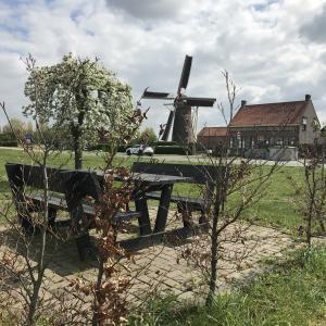 fotoalbum/img-6023-kuitaart-bankje-molen