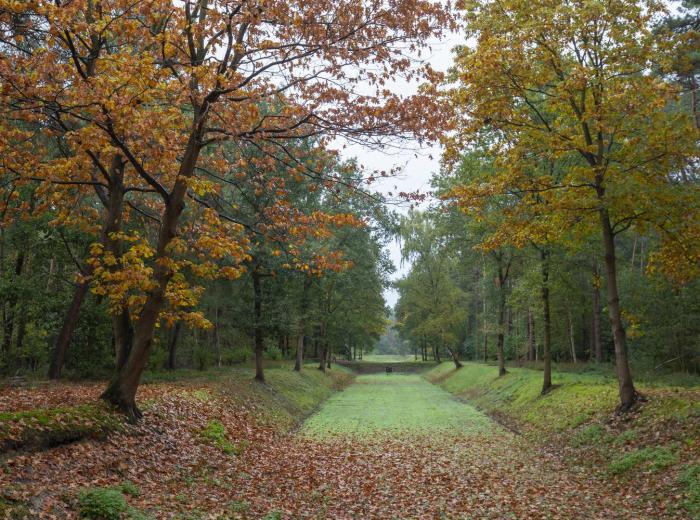 Herfstwandeling Waterwinbossen